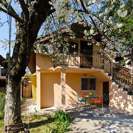 Cherry Tree Art House Belgrad Exterior foto