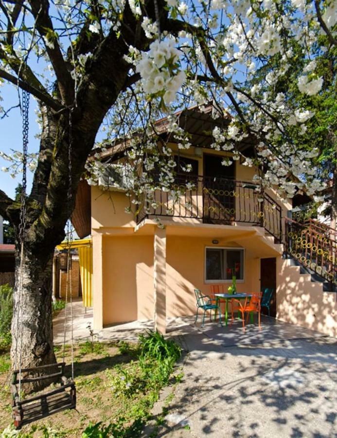 Cherry Tree Art House Belgrad Exterior foto